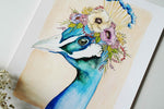 Regal Peacock - Ginably - 2
