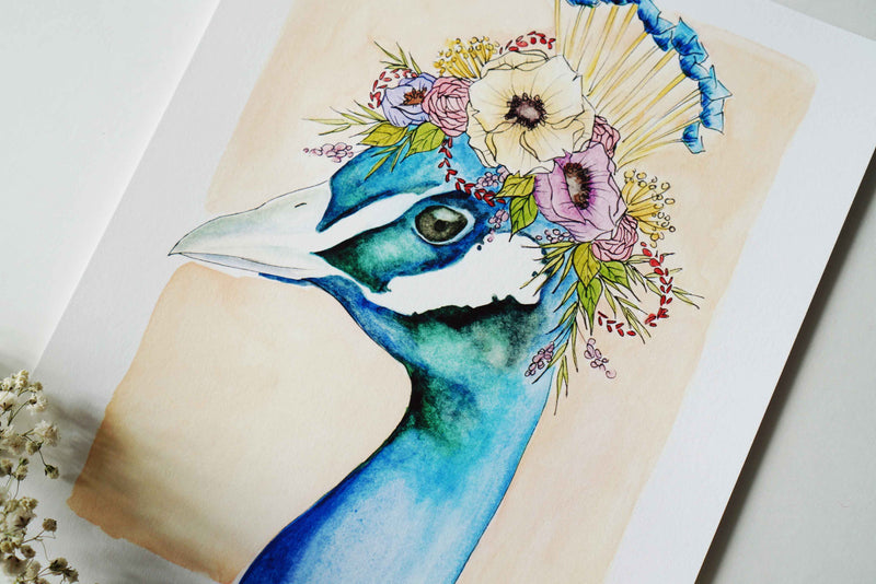 Regal Peacock - Ginably - 2