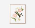 Roses and Poppy Flowers